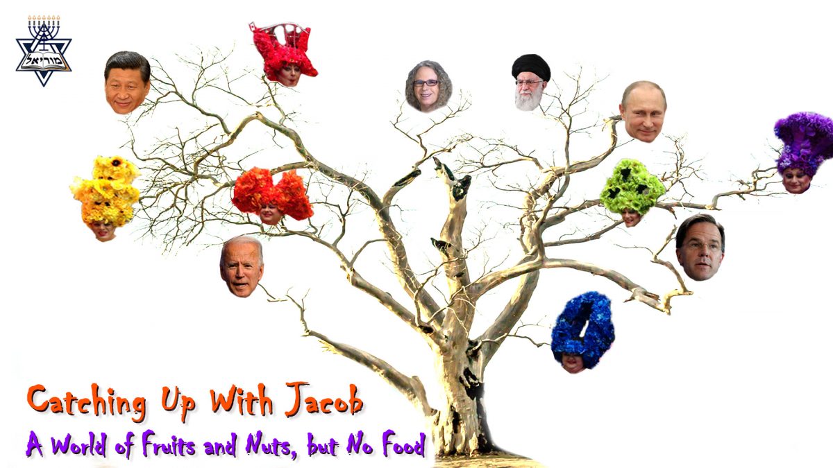 Episode-89_A-World-of-Fruits-and-Nuts-But-No-Food